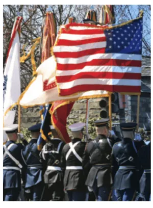 ADJUSTABLE ALUMINUM PARADE POLE