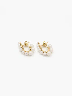 Freshwater Pearl Elegant Earrings - No. 12063