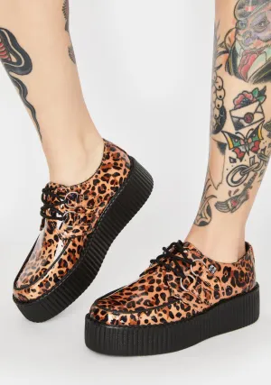Patent Leopard Lace Up Creepers
